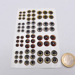 Eye Selection Living Eyes