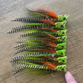 Airbrushed Poppers Fire Tigers (Gnarly Headz)