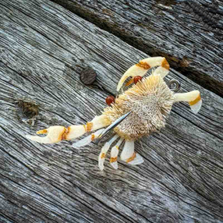 Flats Craft - The Split Crab